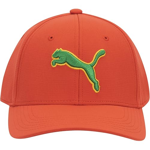 PUMA Evercat Dillon Stretch Fit Cap
