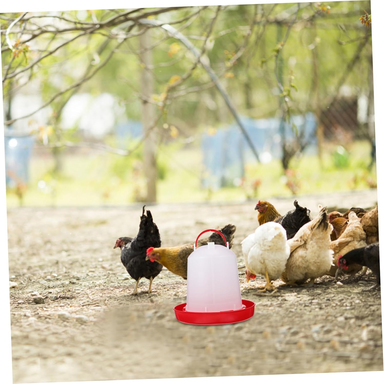 DOITOOL 1pc Chicken Drinking Bucket Chicken Food Dispenser Animal Water Dispenser Container for Food Bird Feeder Poultry Waterer Durable Feeder Farm Poultry Water Container