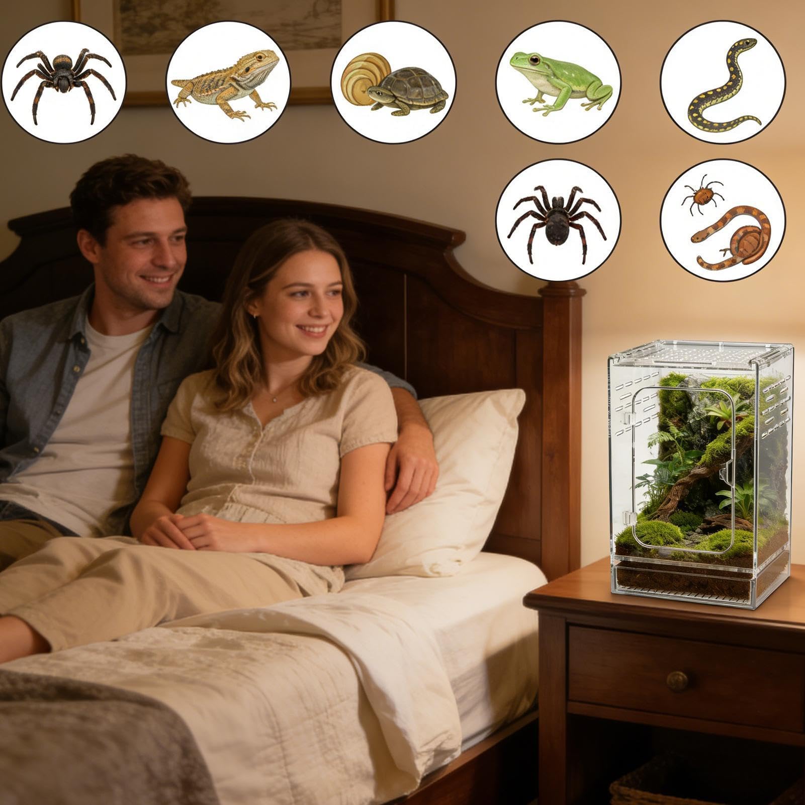 Springspinnen Terrarium Atmungsaktiv Komfortabel Klar Acryl | Kleines Reptilien Terrarium für Spinnen Geeignet Für Kleine Schildkröten Schnecken Frösche Schlangen