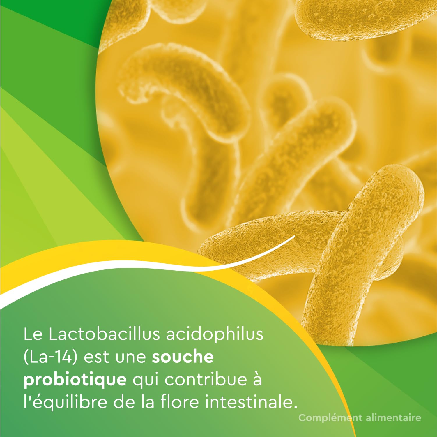 Euphytose Digestion & Anti Stress - Double Action Infoncort Intestinal & Anti Stress Adulte - Complément Alimentaire - Probiotique Flore Intestinale & Détox - Maxi Format 56 Gélules programme 1 Mois
