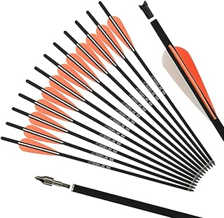 REEGOX Crossbow Bolts 20 inch Bio Crossbow Arrows with 4-Inch Vanes(Pack of 12)