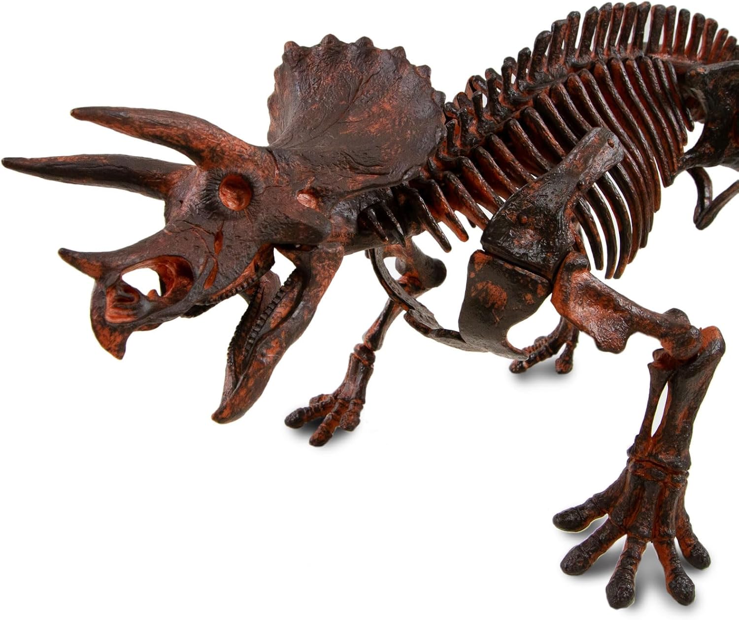 Geoworld Triceratops Skeleton Model Kit - Build a Scale Replica of a Triceratops Skeleton - Engaging STEM Learning Toy for Kids Ages 6+