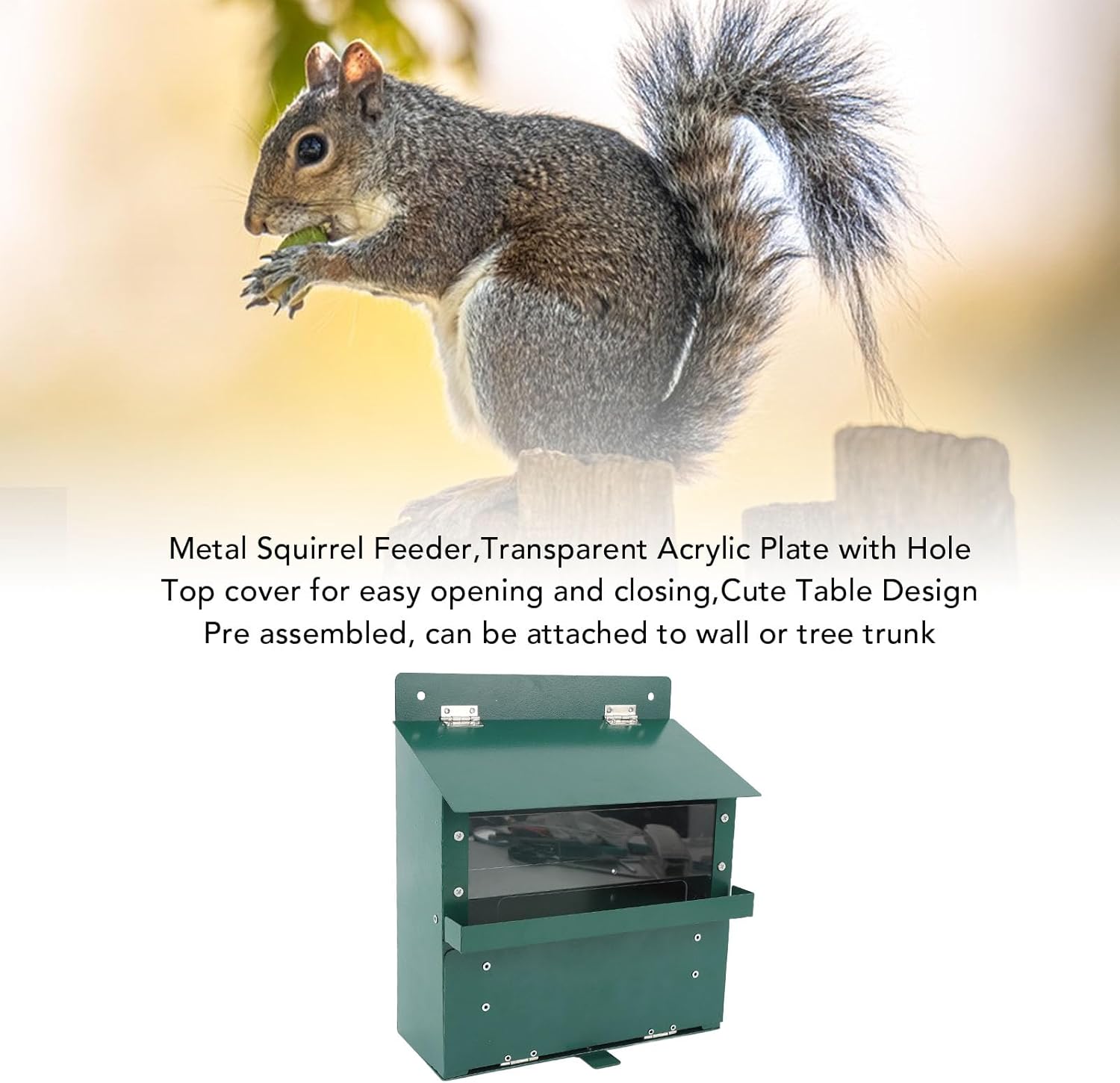 Squirrel Feeder with Transparent Acrylic Plate | Cute Pet Picnic Table for Outdoor Garden | Easy to Install Metal Feeding Box with Screws Included