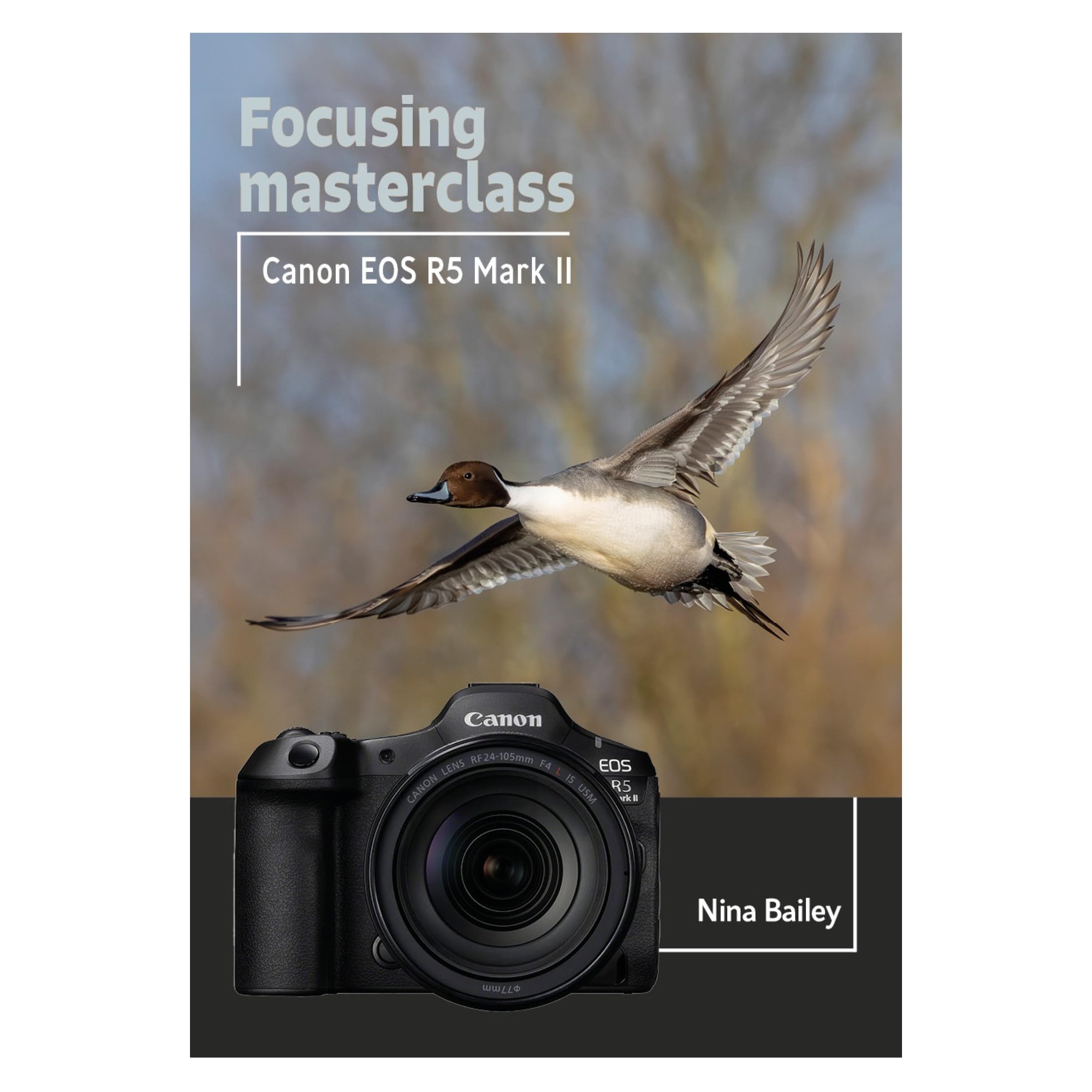 Focusing Masterclass for the Canon EOS R5 Mark II