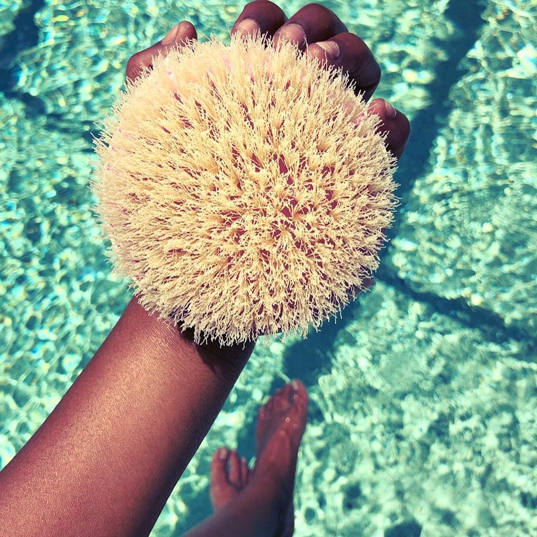 EcoTools Dry Brush, Gentle Exfoliating Scrubber For Skincare and Beauty, Pore Cleansing, Pink : Everything Else