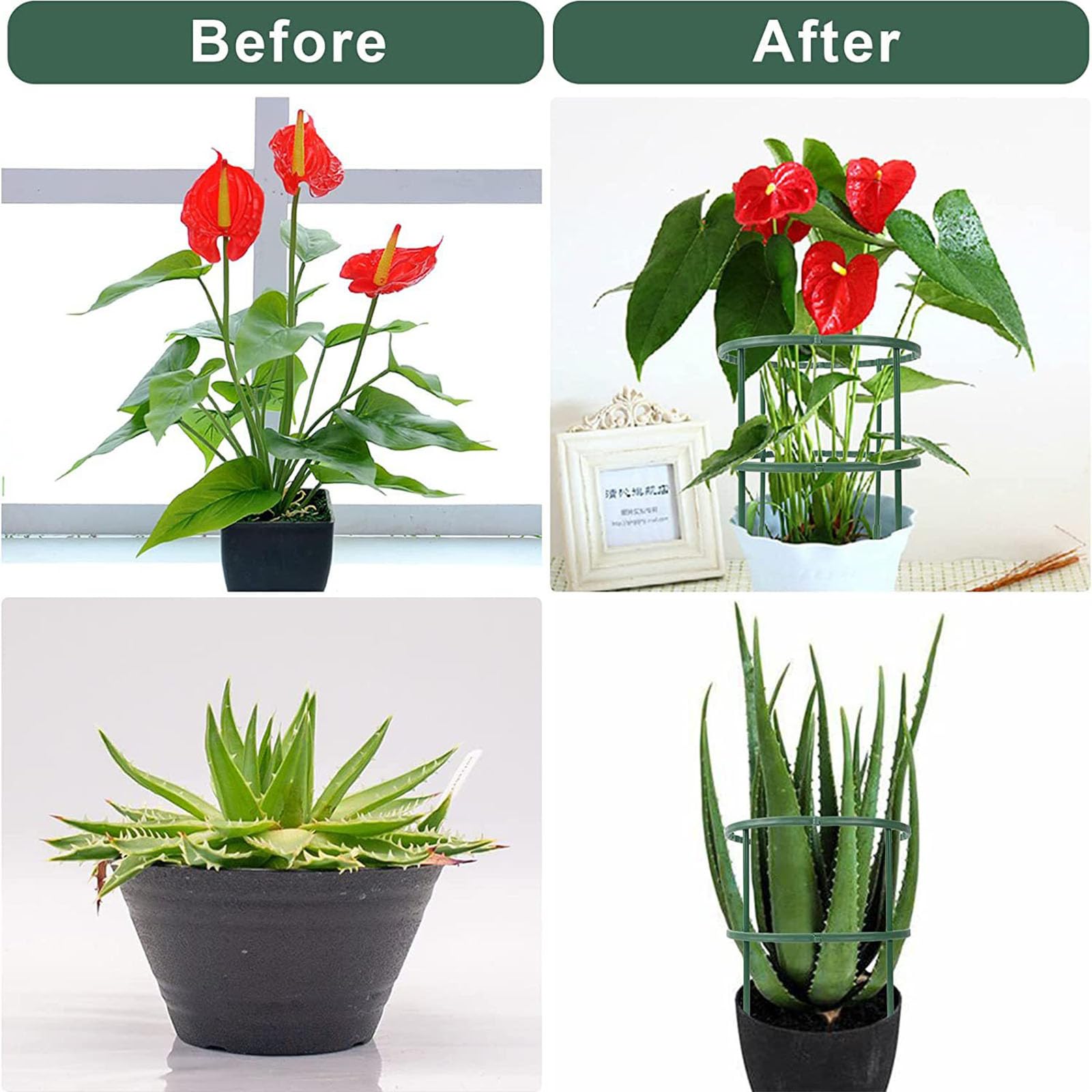 12 Packungen Pflanzensttze Pflanzenhalter fr den Garten, Kunststoff  Garten Pflanzen Sttze Blumensttze Pflanzensttzen fr Topfpflanzen,  Gemse, Rosen, Hortensien, Blumen : Amazon.de: Garten