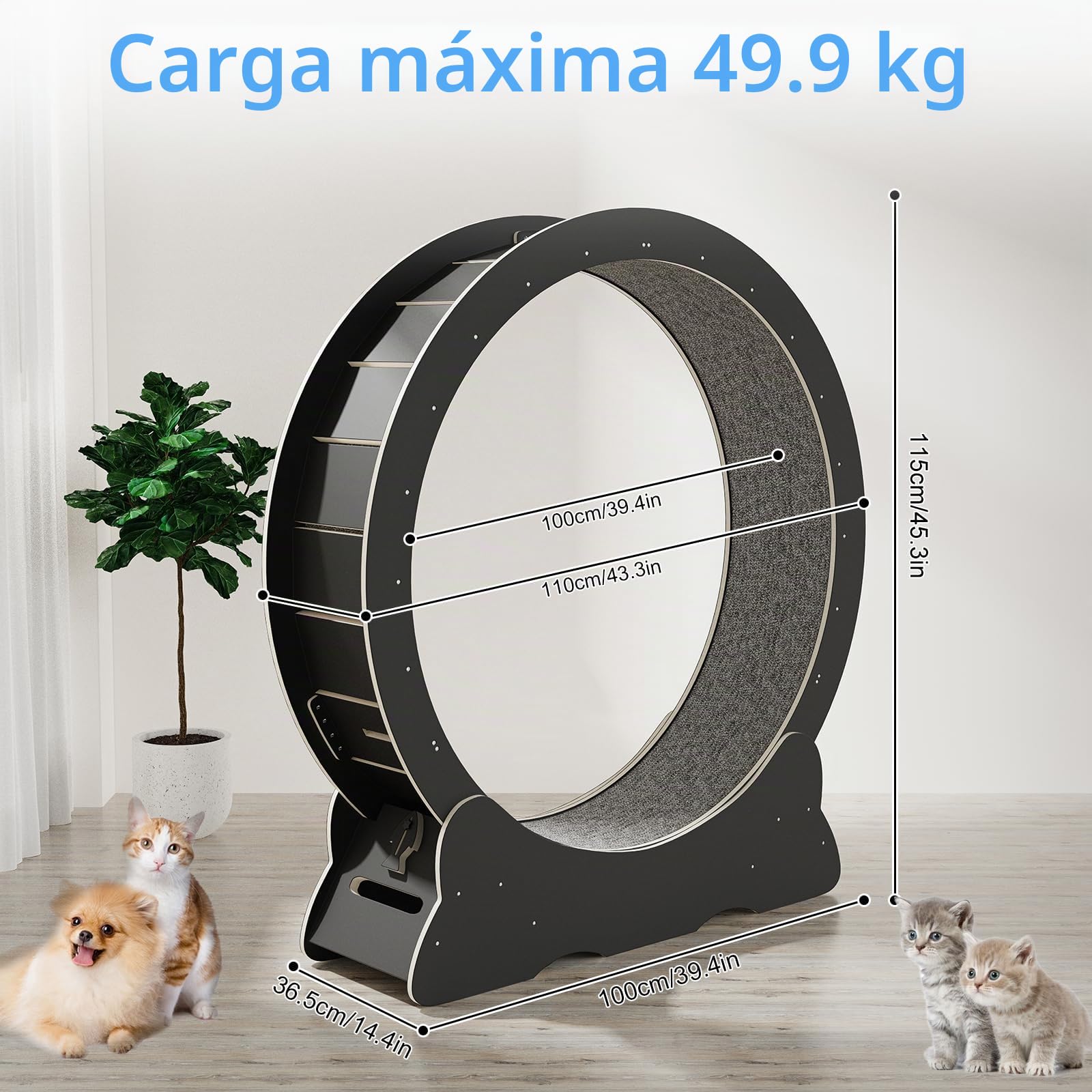 Rueda de Correr para Gatos, 110cm Rueda para Gatos de Madera, Grande Rueda Ejercicios de Gatos de Interior, Súper Silencioso, Juguete para Mascotas Gatos (Negro)