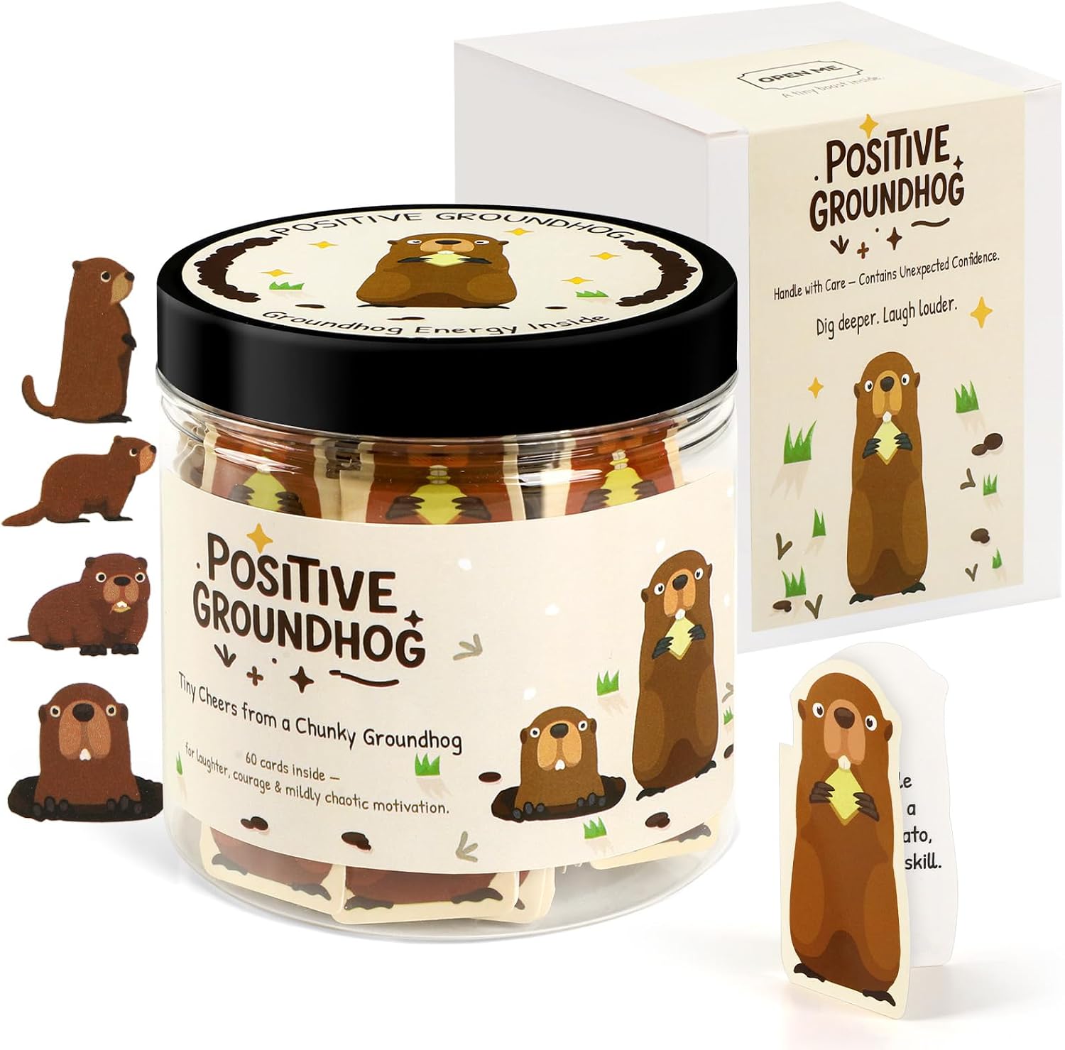 Positive Silly Goose Jar - 60 Funny Sarcastic Affirmation Cards