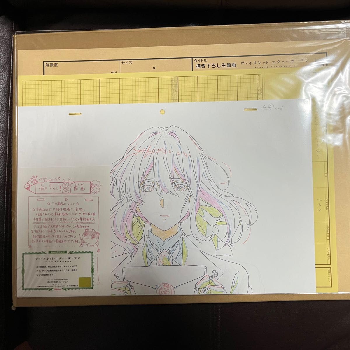 Amazon.co.jp: ヴァイオレットエヴァー 京アニ 描き下ろし生動画 複製 
