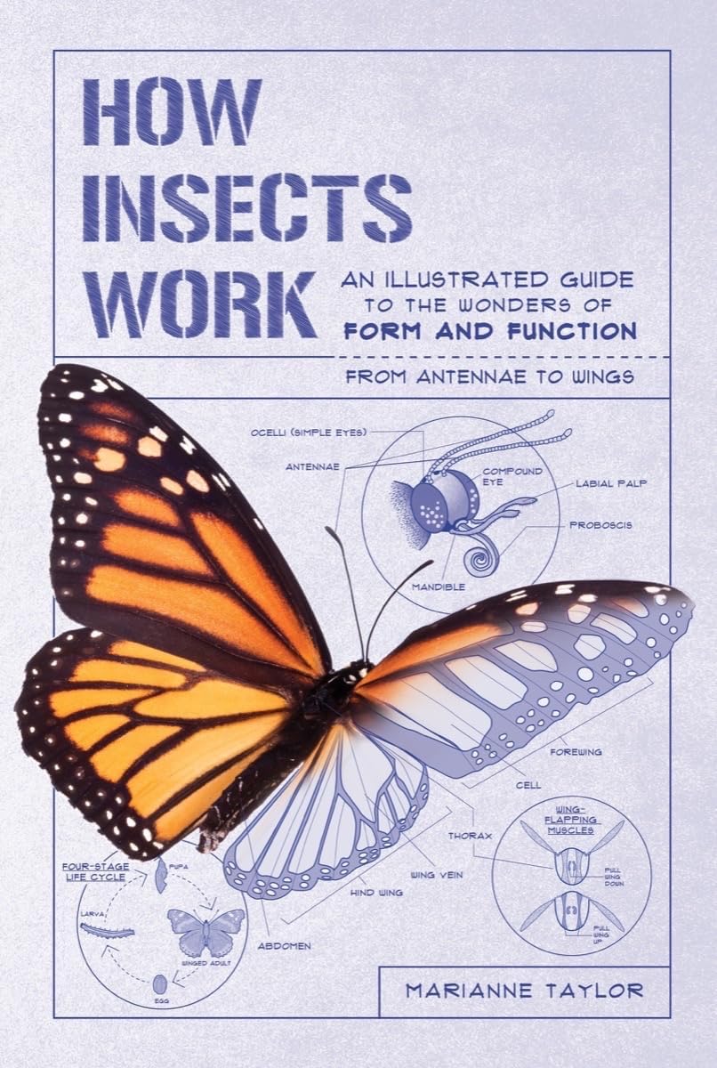 experiment How Insects Work: An Illustrated Guide to the Wonders of Form and Function--From Antennae to Wings