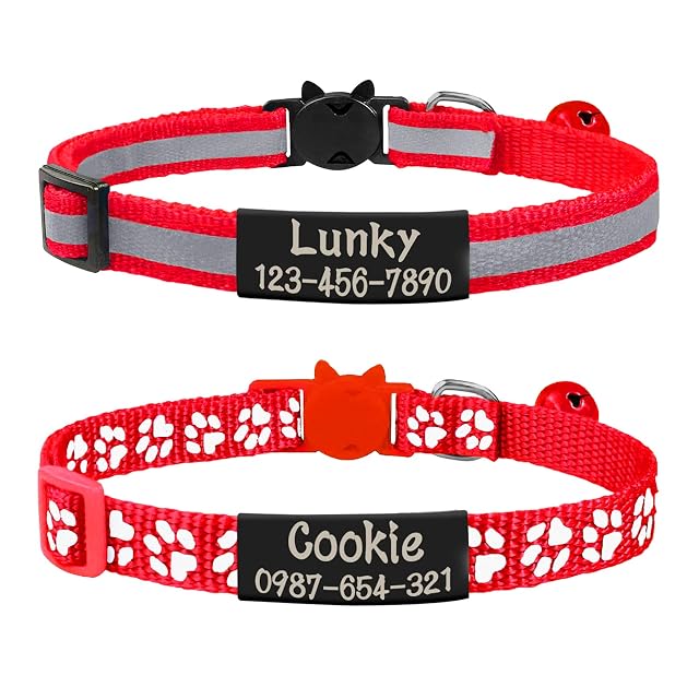 Uiopa 2 Piezas Collar Gato Personalizado + 2 Piezas Chapa Perro Grabada