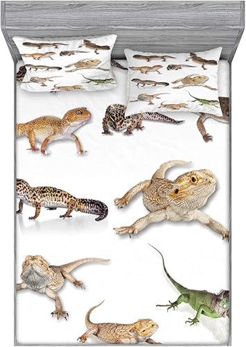 Miniatura 210 de Ambesonne Juego de sábanas bajeras y fundas de almohada occidentales, sombrero de vaquero con temática del salvaje oeste y cuerda de ganadería vieja