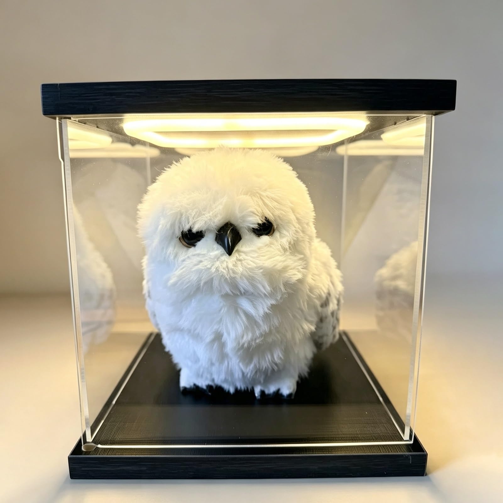 Acryl Vitrine Große, Stapelbare LED-Displayvitrine aus Transparentem Acryl