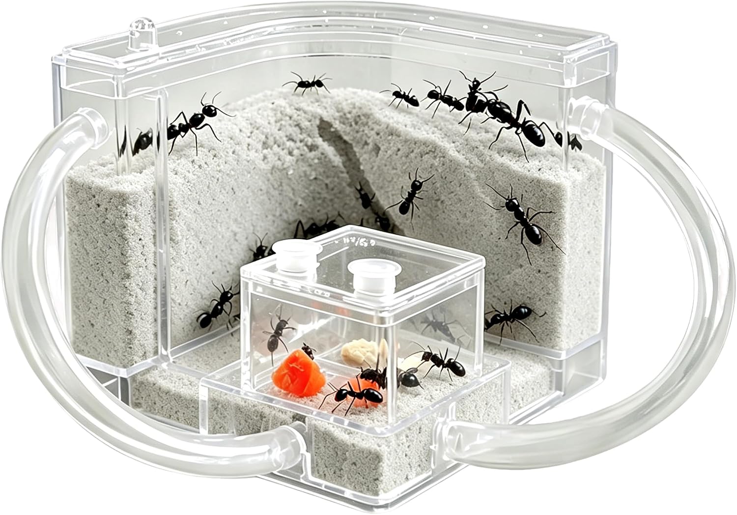 EXBEPE Sand Ant Farm with Connecting Tubes,Live Ant Habitat Colony Ecosystem Terrarium Kit for Kids to Study Insect Behavior