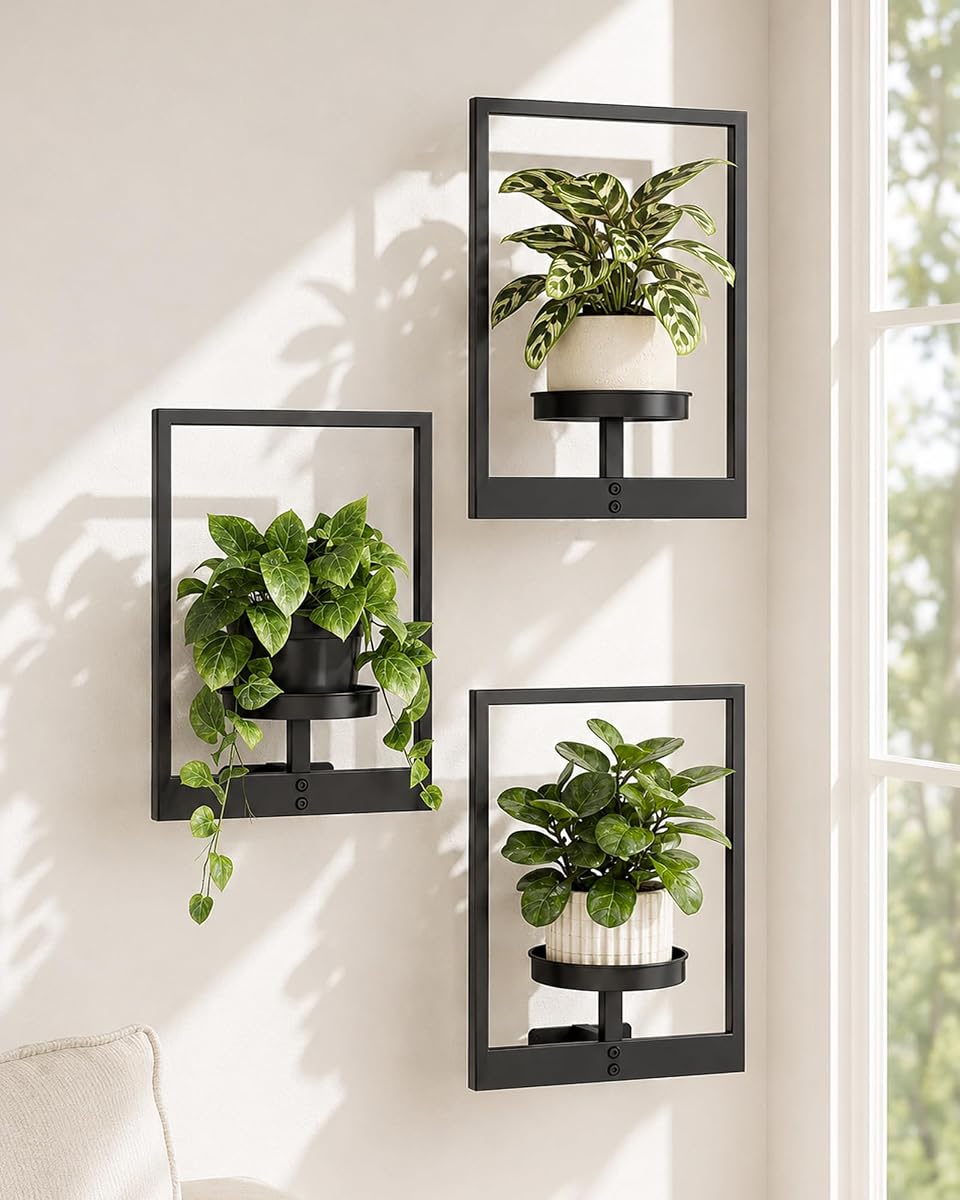 Bamworld Hanging Planters for Indoor Plants Wall Decor Living Room | Plant Stand Indoor Wall Planters Plant Hanger Window Plant Shelves 3 Pack for Outdoor Entryway