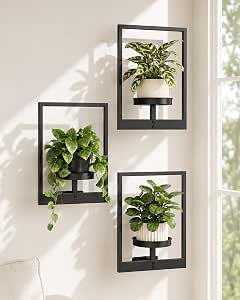 Bamworld Hanging Planters for Indoor Plants Wall Decor Living Room
