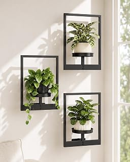 Bamworld Hanging Planters for Indoor Plants Wall Decor Living Room | Plant Stand Indoor Wall Planters Plant Hanger Window Plant Shelves 3 Pack for Outdoor Entryway