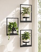 Bamworld Hanging Planters for Indoor Plants Wall Decor Living Room | Plant Stand Indoor Wall Planters Plant Hanger Window Plant Shelves 3 Pack for Outdoor Entryway