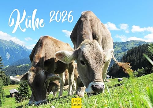Edition Seidel Premium Kalender Kühe 2026 Format DIN A3 Wandkalender