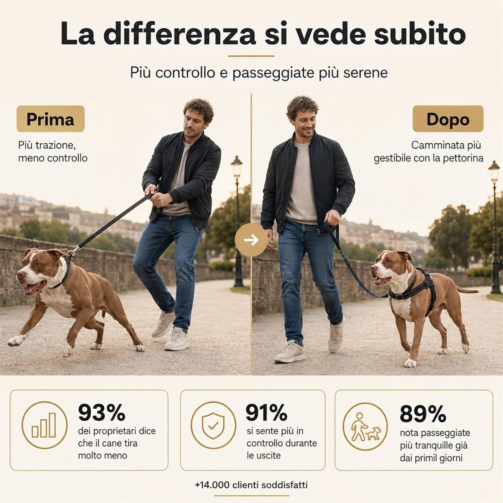 Veltrio Pettorina Cane Antitiro, Pettorina Anti Trazione Regolabile e Riflettente per Cani Piccoli e Medi, Comoda per Passeggiate e Addestramento