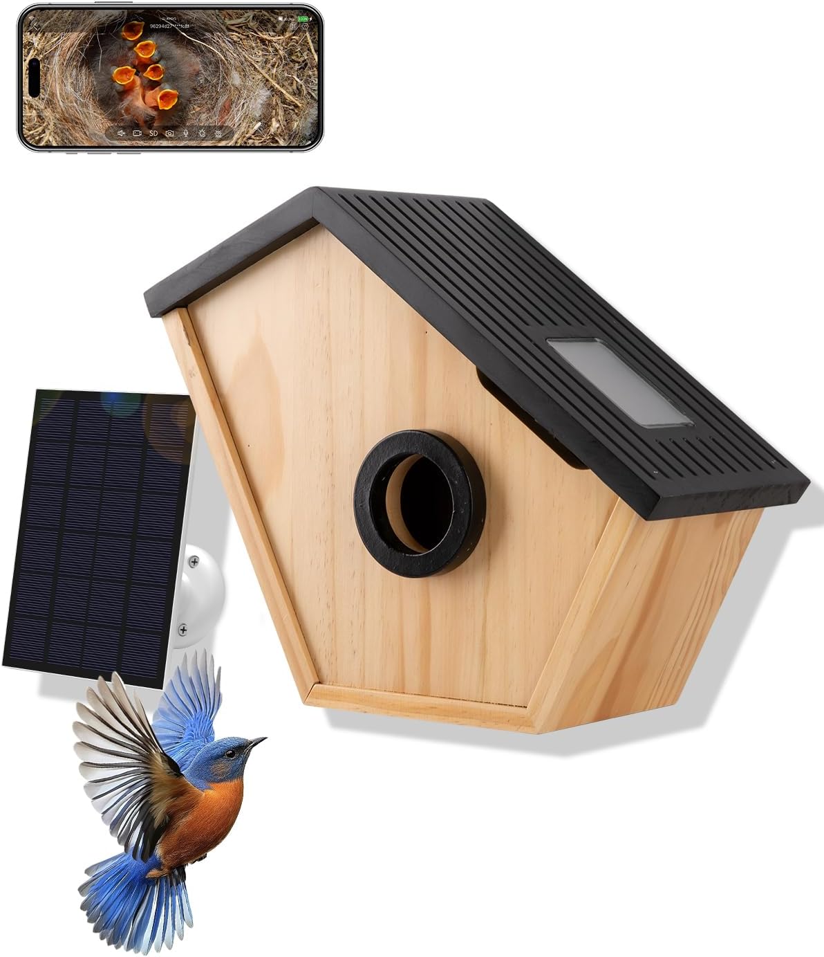Bird House with Camera, Wireless Birdhouse for Outside with 2K HD Camera, 2.4G WiFi, App Notify, Solar Powered, Night Vision, AI Identify, Ideal Bird Nesting for Blue Bird and Cardinal
