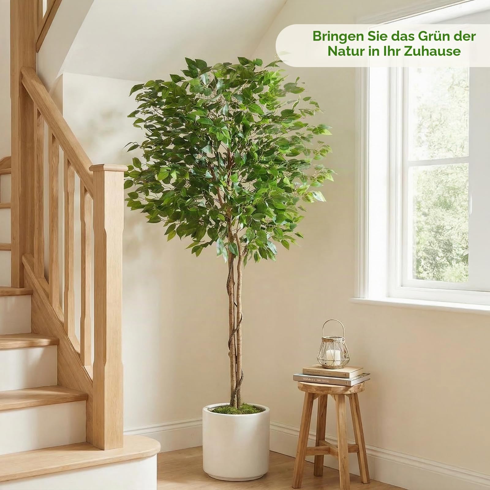 Clevich 180cm Ficus Kunstpflanze Wie Echt,Künstliche Ficus, Weißen Topf,Gebogenem Baumstamm+Üppig Grünen Blättern,Pflegeleichte Zimmerpflanze,Plüschmoos,Künstliche Pflanzen,Einzugsgeschenk,2PCS Moduls