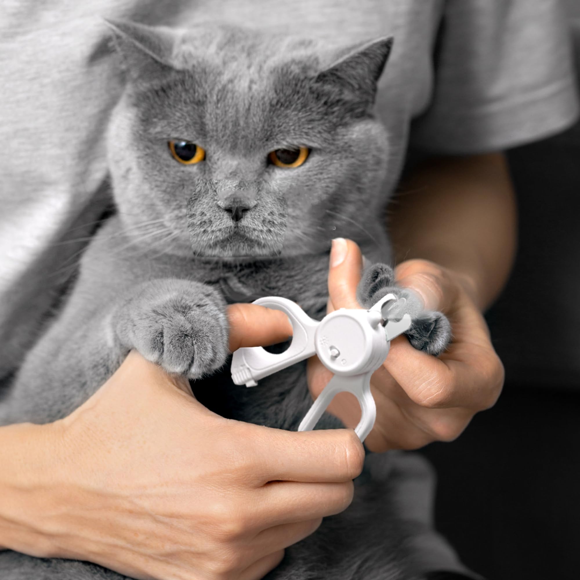 Professional Dog and Cat Nail Clippers with Lights to Illuminate Nails or Blood Lines for Safe Trimming，Sharp Stainless Steel Pet Nail Trimmers with Safety Guard to Avoid Overcutting for Small Animals - image 6