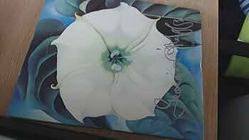 Georgia O' Keeffe One Hundred Flowers大型本 One Hundred Flowers: O'Keeffe, Georgia, Callaway, Nicholas