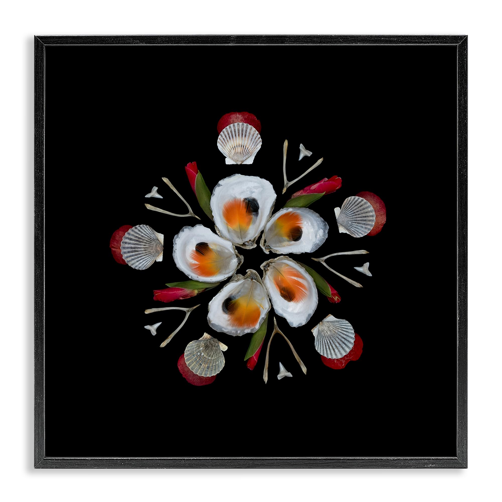 Stupell Industries 'Nautical Oysters Mandala', Framed Giclee Art, Black, 17 x 17 Inches, Easy to Hang and Sturdy, Made in USA, by Beth Adoette