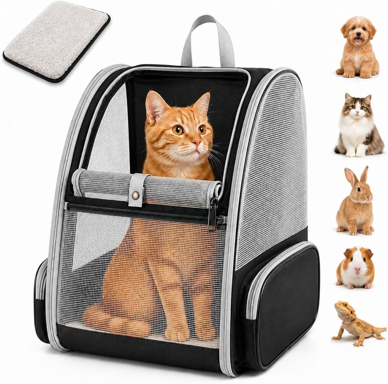 Cat Carrier Backpack for Cats and Small Dogs up to 15 lbs, Soft-Sided Foldable Pet Carrier with Breathable Mesh, Front Upper&Dual Side Entry, Support Frame, Hard Bottom for Vet Visits and Air Travel
