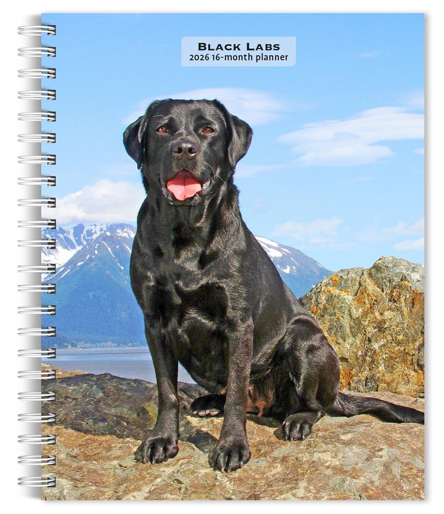 Black Labrador Retrievers | 2026 6 x 7.75 Inch Spiral-Bound...