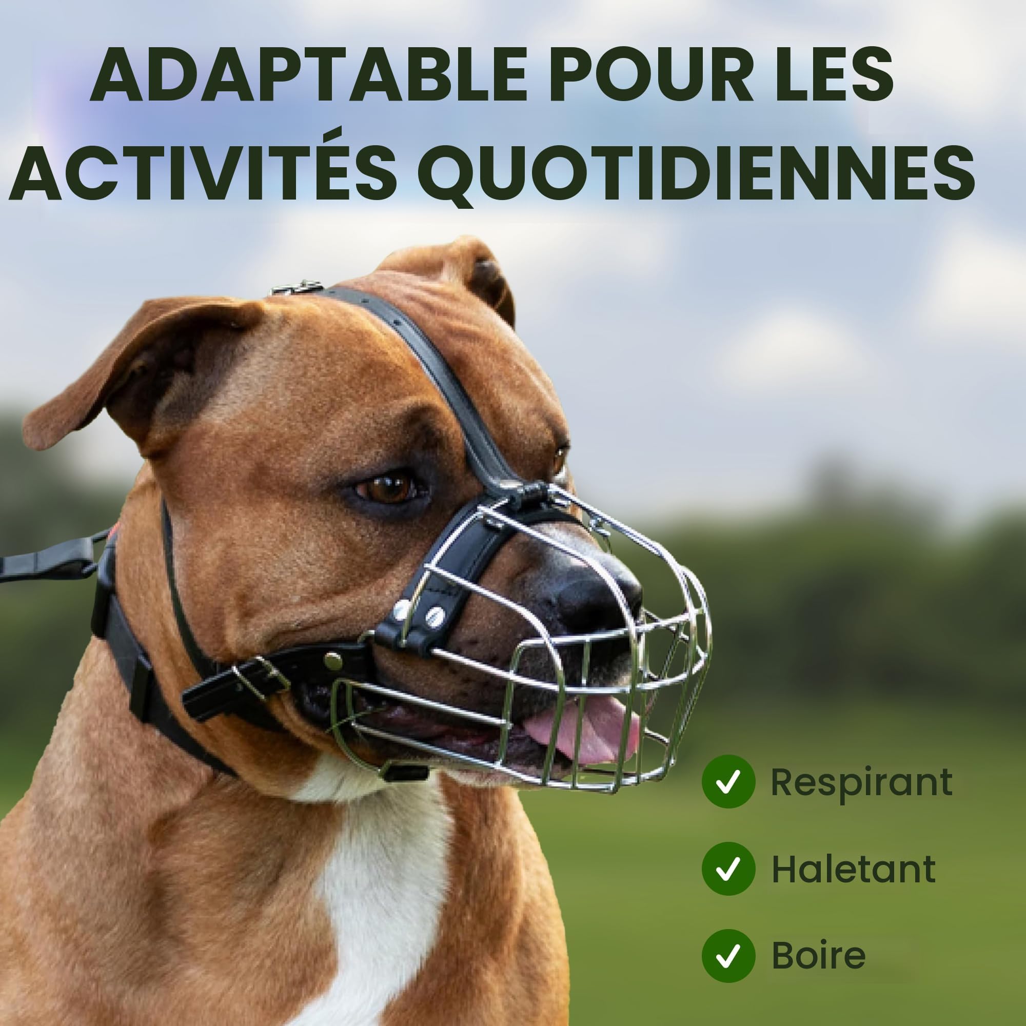 BronzeDog Muselière pour Chien en métal Amstaff Panier en Fil de Fer Sangles réglables en Cuir pour Grands Chiens