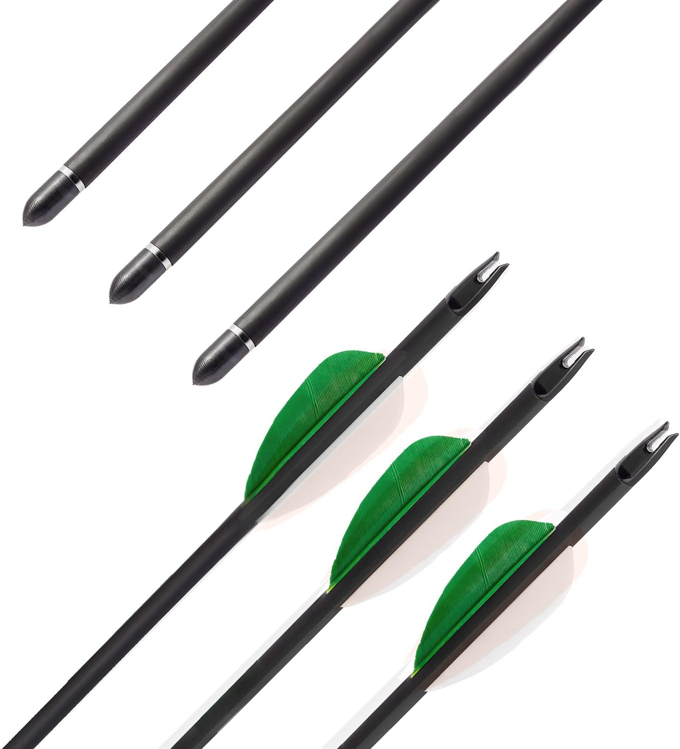 Posch Archery 12 Pack Natural Feather Fletching Carbon Composite Target Practice Arrows for Recurve, Compound and Traditional Longbow