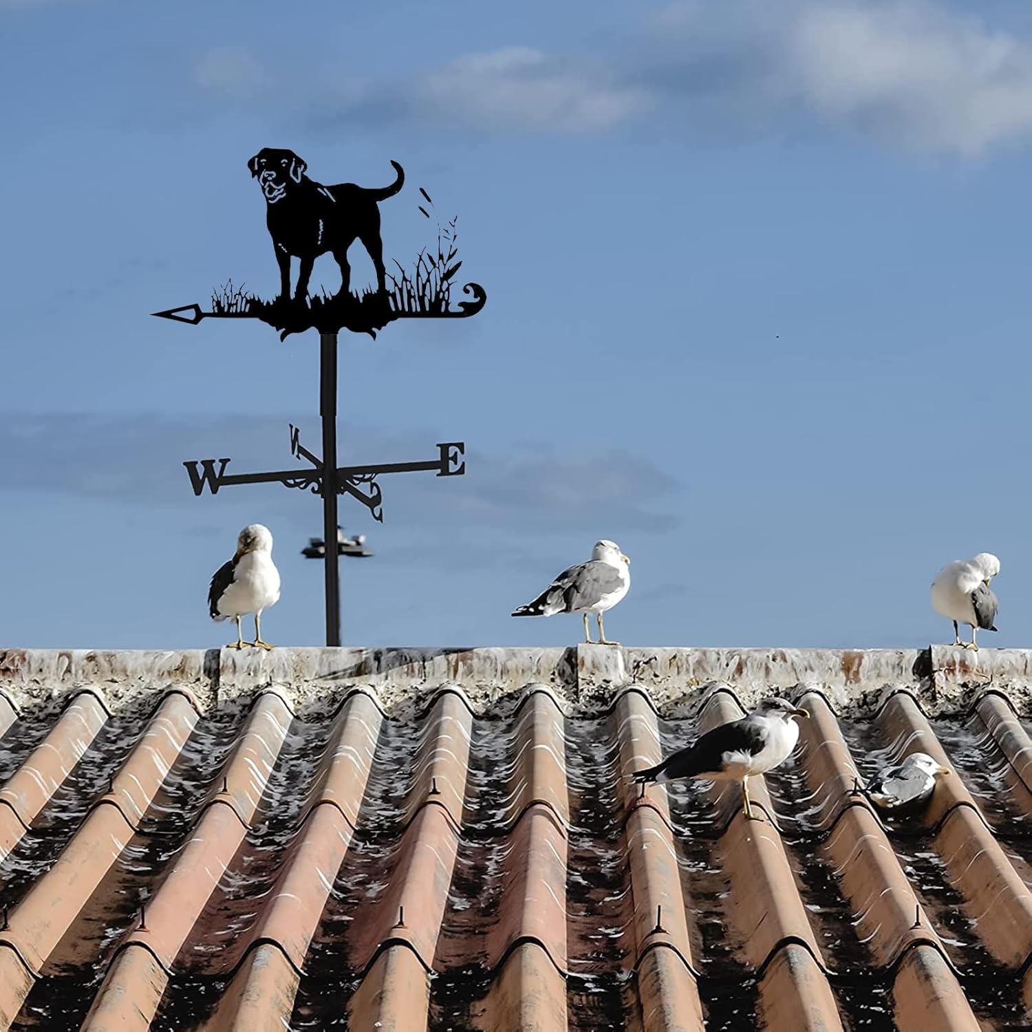 weathervane vanes for Outside Outdoor WeatherVanes,Metal Hound Weather Vane Dachshund Wind Direction Indicator wiht Roof Installation Farm Scene Garden Art Deco Accessorie