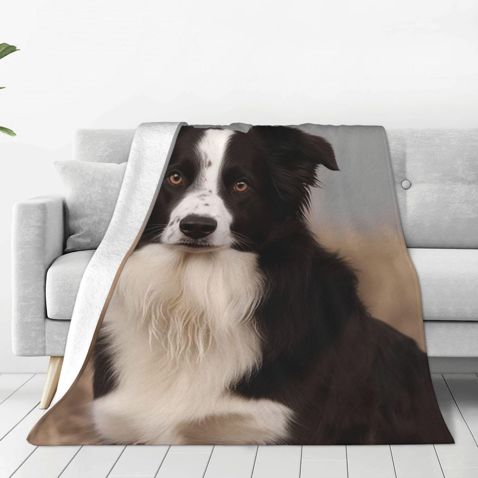 Couverture Border Collie en flanelle pour vos soirées lecture confortables sur le canapé