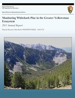 Monitoring Whitebark Pine in the Greater Yellowstone Ecosystem: 2011 Annual Report (Natural Resource Data Series NPS/GRYN/NRDS?2012/278)