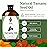 SVA Tamanu Seed Oil - 16 Fl Oz - 100% Natural Cold Pressed Tamanu Oil - for Face, Skin Care, Hair Care, Scalp Massage & Body Massage - Carrier Oil