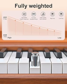 88 Key Full Weighted Electric Piano Keyboard with Stand-Professional Digital Piano, Full-Size Hammer-Action Keyboard for Beginners, with Sheet Music Stand, Pedal, USB-MIDI & Headphone Mode