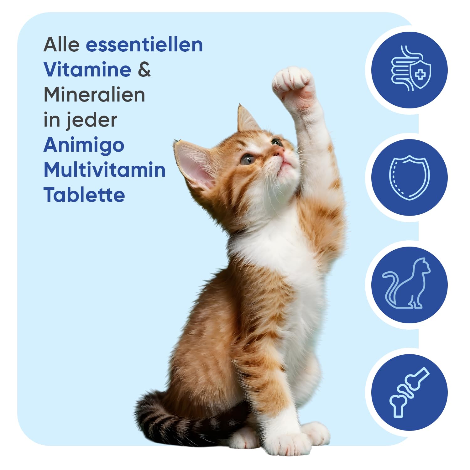 Animigo Multivitamine für Katzen - 365 Vitamine Tabletten - Mit Vitamin B Komplex(Biotin, Folsäure), C, D3, Kalzium, Eisen, Kupfer, Jod, Zink - 18 Mineralien & Vitamine für Katzen & Kätzchen Immunität
