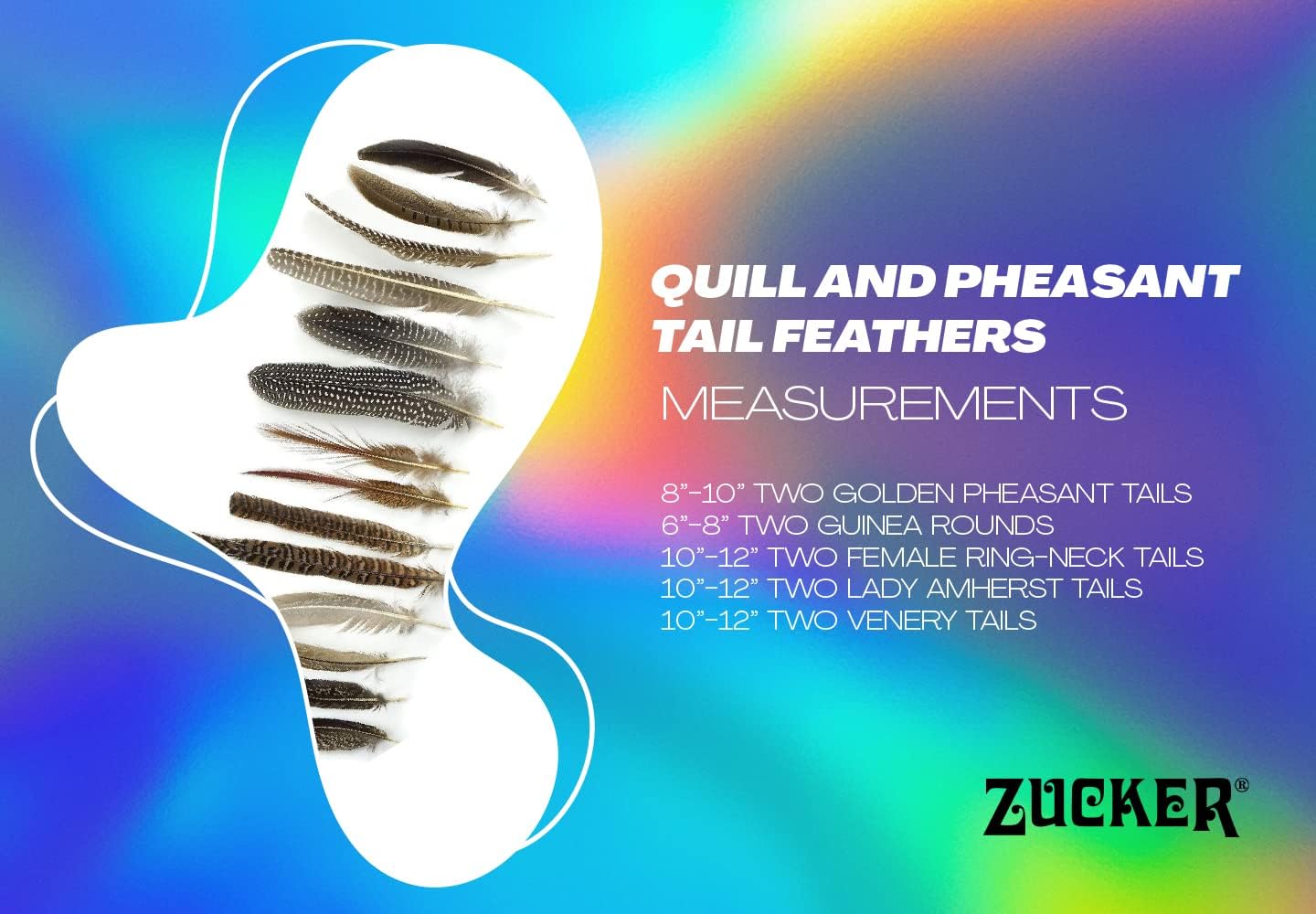 Zucker Assorted Quill Pheasant Tails & Guinea Rounds Real Feathers - (20 Pack) Large Feathers for Hats and Crafts (4-6 in)