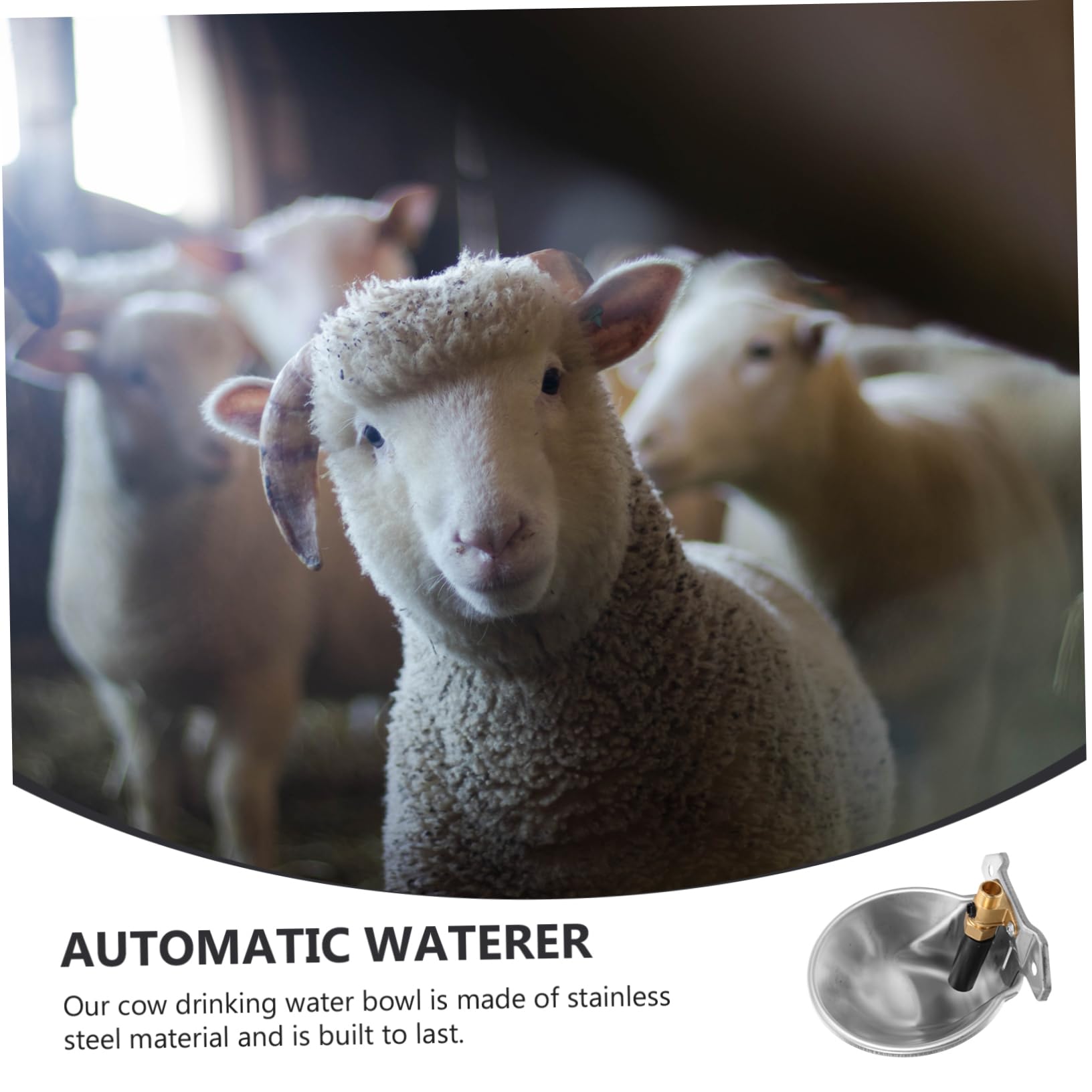 TOYANDONA Abbeveratoio Automatico Superficie Liscia in Acciaio Inossidabile per Bestiame Ampia Capacità senza Ruggine , per Uso in Fattoria All'aperto