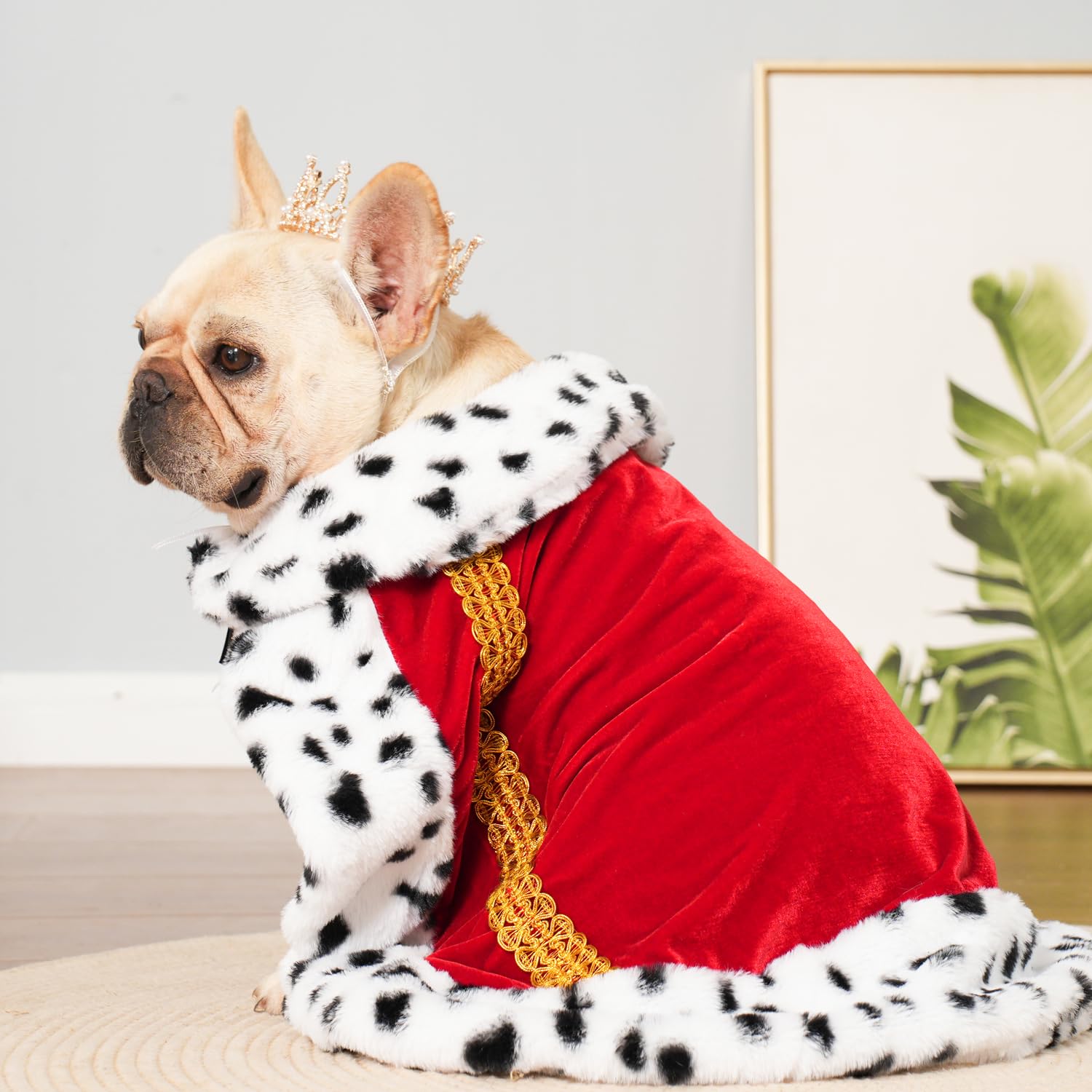 Lovelyshop Pet Serial Majestic Dog/Cat Costume Collection with Lux Velvet Cloak and Gold Pearl Crown Set for Halloween,King Queen Prince and Princess Cosplay-M