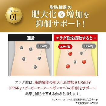 Amazon | 【公式】倖田來未 完全プロデュース キラーバーナー 2