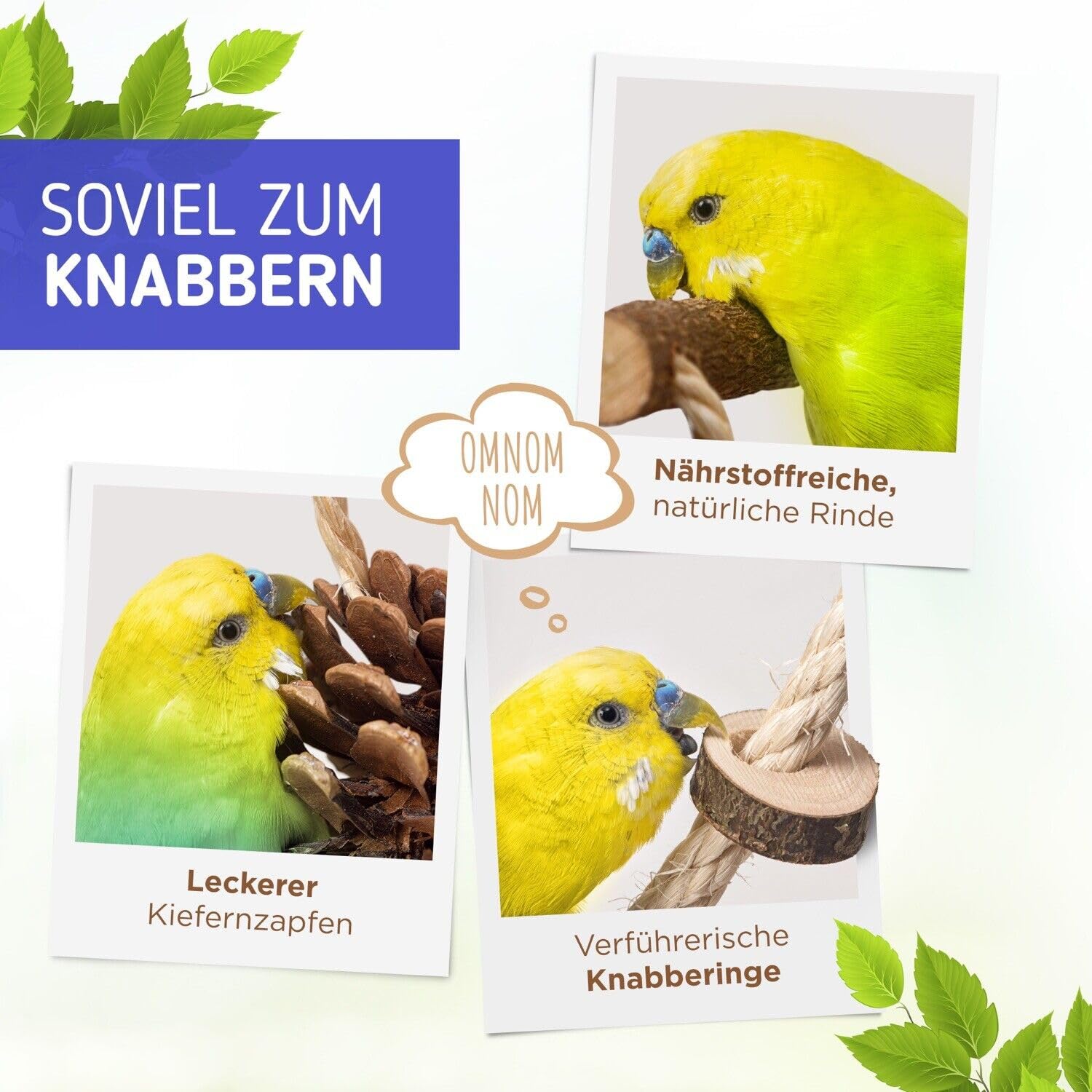 Vogelgaleria® Luxus Vogelspielplatz aus Natur Holz mit Abnehmbarer Futterschale | Ideales Spielzeug bei Freiflug für Wellensittich Nymphensittich | Vogelspielzeug