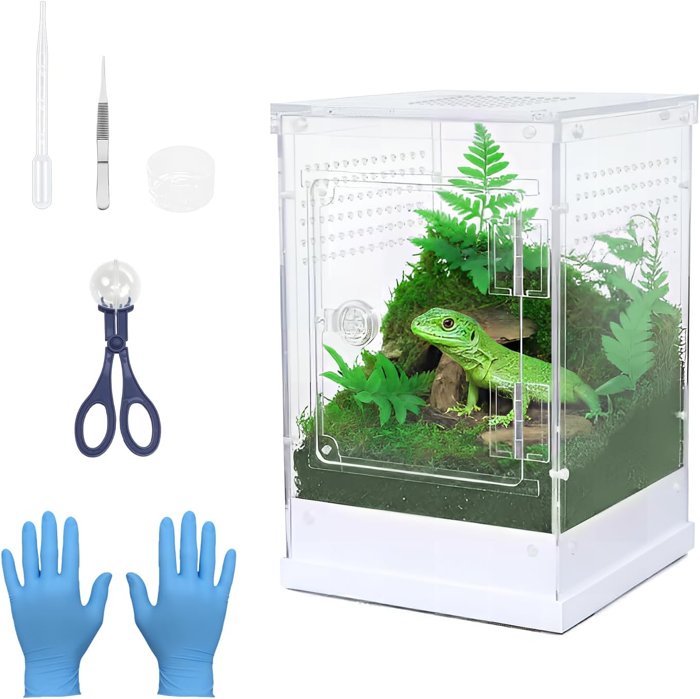 Jumping Spider Enclosure, 7.8''x8''x12'' Large Insect Terrarium, Praying Mantis Habitat, Large Insect Terrarium,Reptile Enclosure,Spider Habitat Caterpillar Habitat (7.8''x8''x12'')