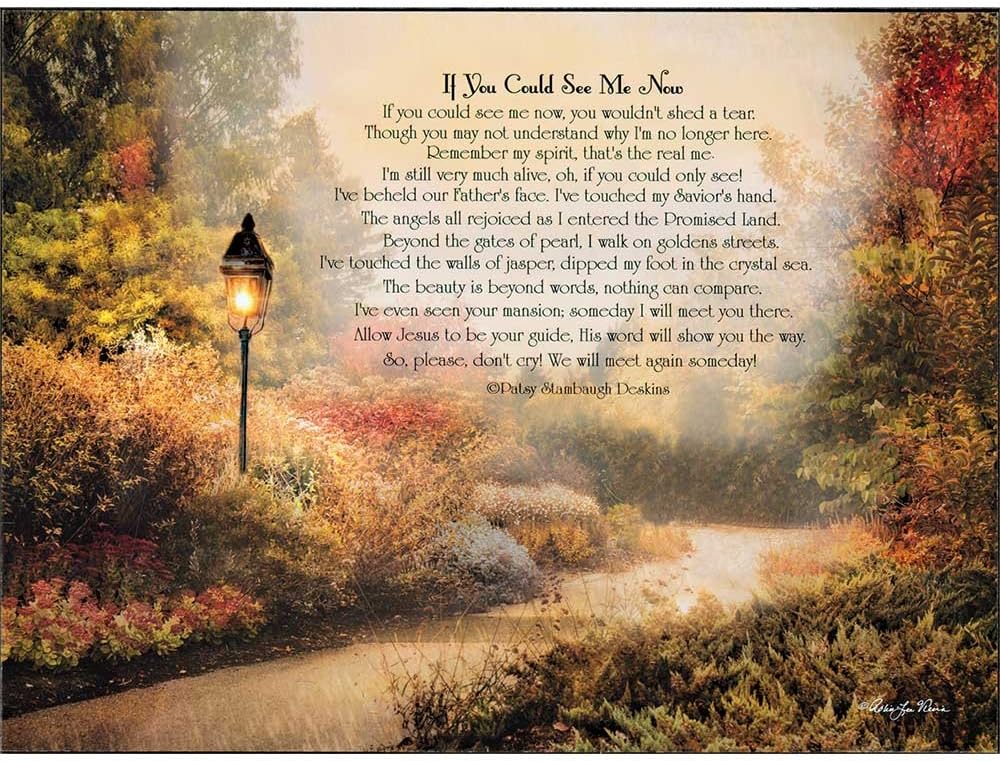 Dicksons If You Could See Me Now Path 15 x 11 Inch Wood Wall Hanging Plock Plaque