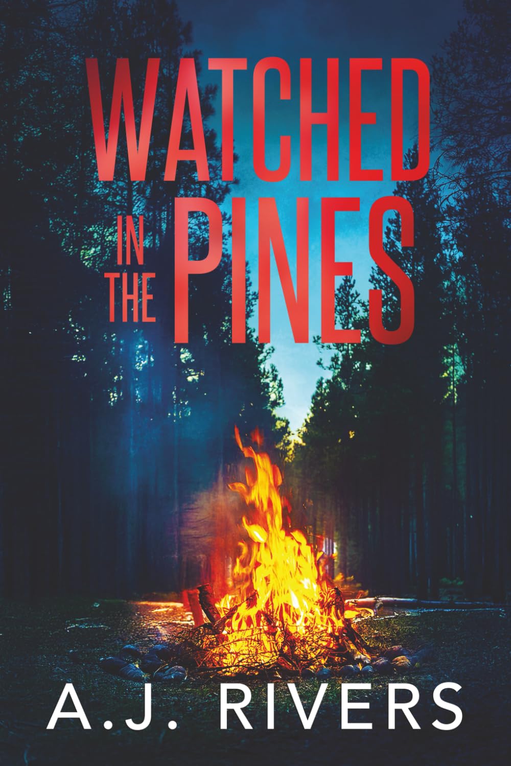 Watched in the Pines: 6 (A Detective Riley Quinn Pine Brooke Mystery)