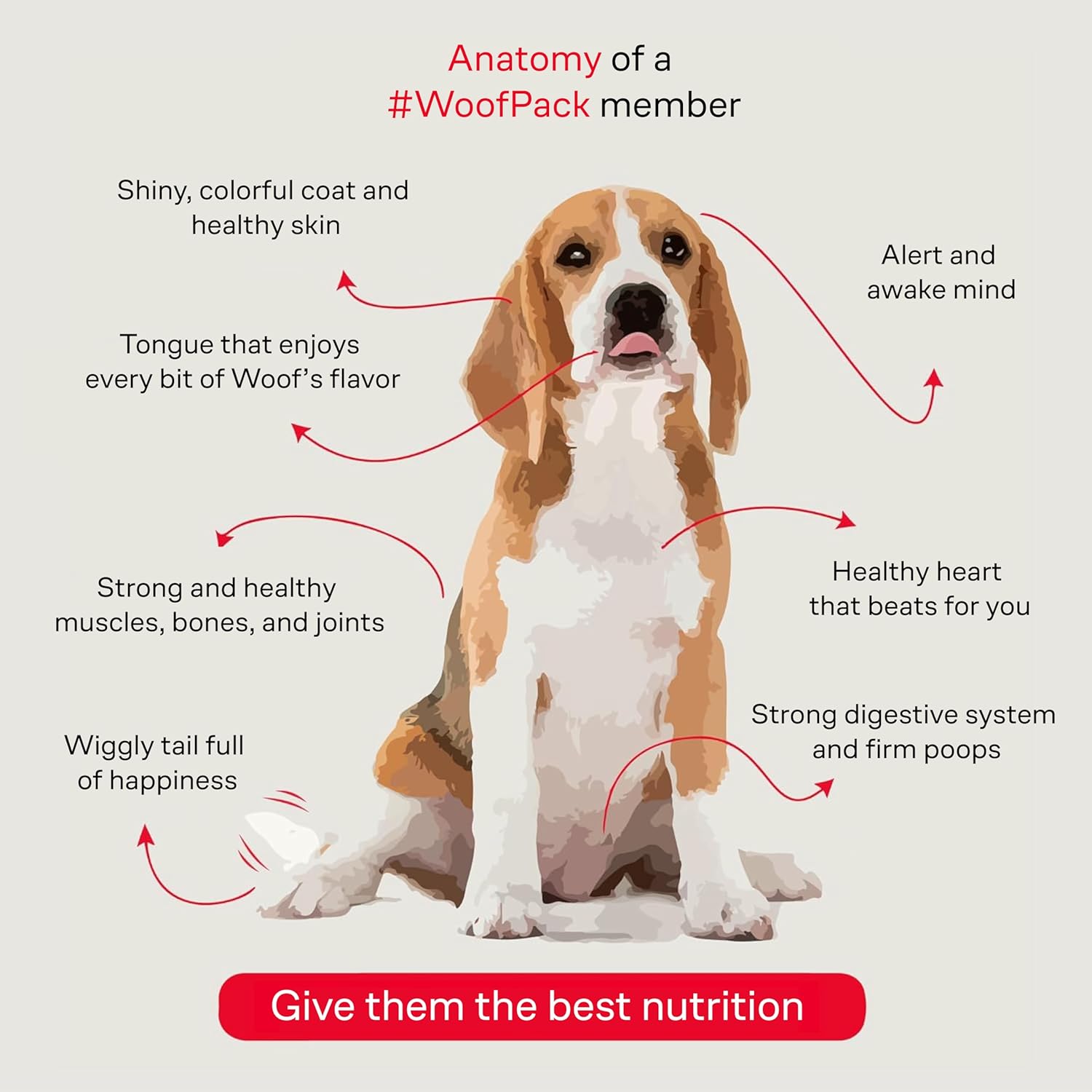 WOOF | Salmon Flavored Adult Dog Kibble | 100% Natural Dog Food | Kibble with Omega 3 & 6, Biotin and Zinc | Wheat, Corn and Soy Free Food | 349 Oz. Bag