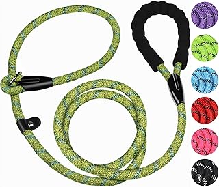 6 FT Heavy Duty Dog Leash, Durable Premium Quality Strong Training Rope Slip Leash with Comfortable Padded Handle and Highly Reflective Threads for Small Medium and Large Dogs, (Blue Green)