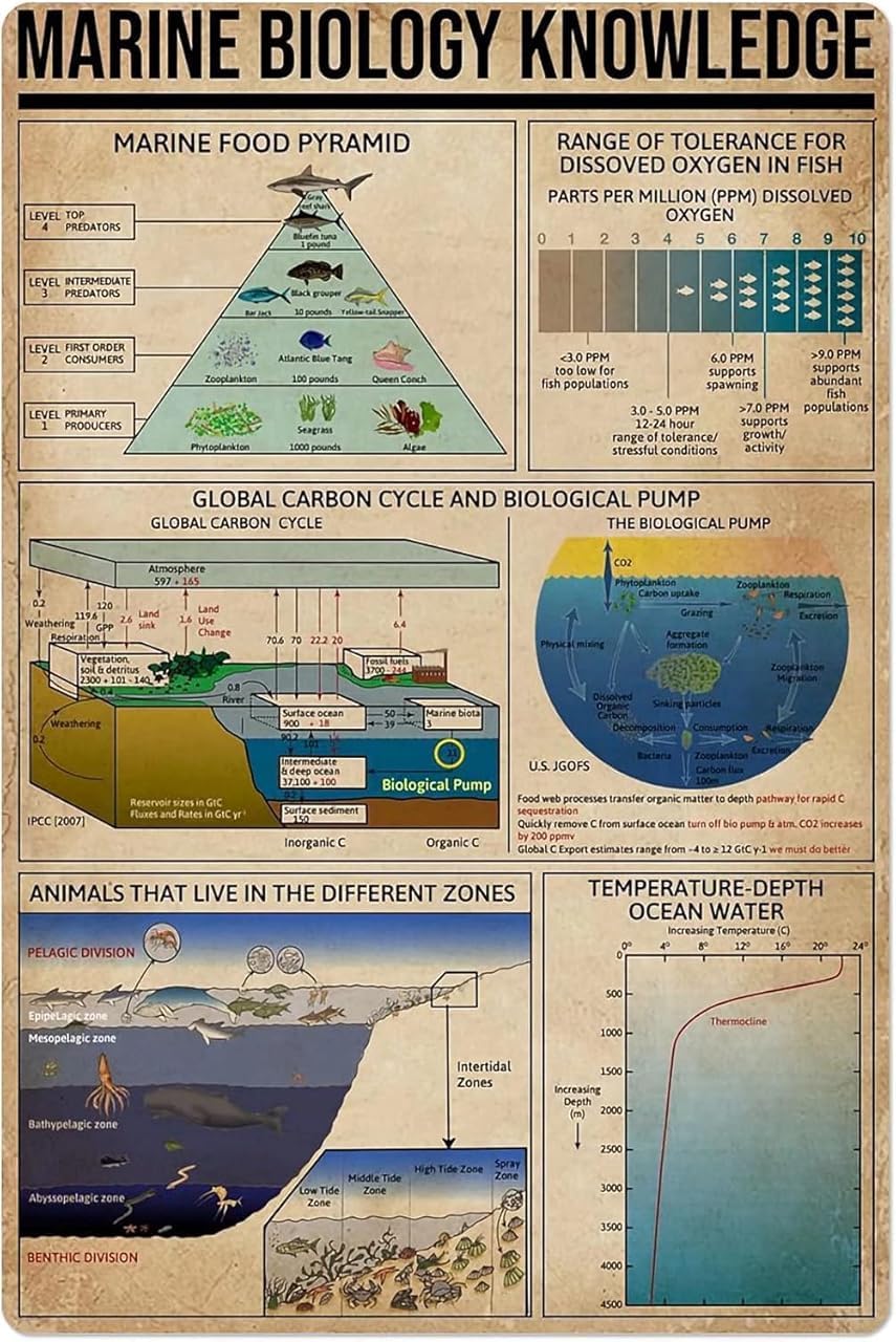 HLBSDM Marine Biology Knowledge Metal Sign Chart Tin Poster Club Decor Bedroom Decor Home Decor Plaque 8x12 inches